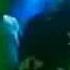 Paffendorf Where Are You Videoclip