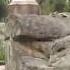 Jardins Botaniques Royal Plage Bondi Australie Easyroadvoyage Com