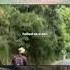 Awara Hu Mai With A Pure Heart Funnymemes Shortsviral Memes Shorts Funny Wanderlust Ghummakad