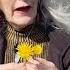 The Power Of Dandelions