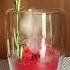 Iced Watermelon Cherry Tonic
