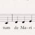 Mozart Wolfgang Amadeus Ave Verum Corpus Guide Voix Alto