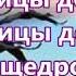 Дни как звук отшумят и исчезнут вдали Русавуки Оставь добрый след