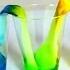 Travelling Waters Experiment Color Mixing Incredible Science