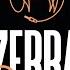 DJ ZEBRA LIVE SET MELODIC HOUSE TECHNO
