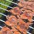 Бедона Будана Quail Kebab Кебаб из перепелки کباب بلدرچین