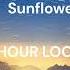 Post Malone Swae Lee Sunflower 1 HOUR LOOP