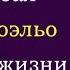 Что сказал Пауло Коэльо о смысле жизни