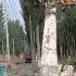 One Tree A Collaborative Battle A Record Of The Wood Grabber Cooperating With Tree Felling
