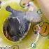 Affectionate Twin Turtles Shortvideo Turtle Cute Animals Healing Love