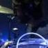 Linkin Park Somewhere I Belong Live Berlin Admiralspalast Telekom Street Gigs HD