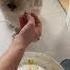 Köpek Kola Karnını Doyuruyor