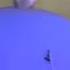 Man Blueberry Inflation Popping Bursted Down