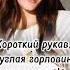 друг из приюта помошь животным благотворительный проект