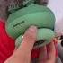 Shorts Cute Cat Funny 2021