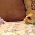 Angry Birds Epic Theme Song