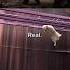 Alone Again Hamster Sad Memes