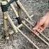 Trap In The Forest Survival Outdoors Bushcraft