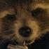 Marvel Studios Guardians Of The Galaxy Vol 3 Streaming August 2 On Disney