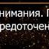 Брюс Алан Уоллес Глава 14 Революция внимания Пробуждение силы сосредоточенного ума