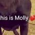 Kara Molly Edited By Emily And Kirstin