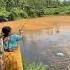 Village Lady Catching Big Monster Fish In Big Canal And Used Poper Food Bass Fishing