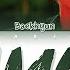 BAEKHYUN 백현 Diamond Lyrics Color Coded HAN ROM ENG
