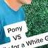 Genuwine Pony VS Offspring Pretty Fly For A White Guy Mr Wired Up Mashup
