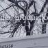 Zate Feat Marvin Weiland Traum Prod By Teylan