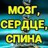 От 5 минут в день здоровье исцеление оздоровление целитель массаж гармония медитация