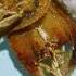 MY KIND OF BREAKFAST KALASO DAING CHOP COCUMBER Shortsvideo Breakfast Yummy
