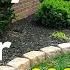 Easy Diy No Dig Border 2020 UPDATE