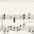 Calamity Mod OST Open Frenzy Piano Solo Sheet Music