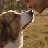 Phillip Phillips Gone Gone Gone From The Movie A Dog S Journey