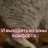 Интроверт или Экстроверт кошка шотландская интроверт Shorts