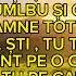 Pavel Dinescu TU TOTUL ȘTII Cover Biji Din Bărbulessti 2024