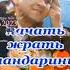 24 декабря 2022 г