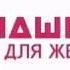 Заставка во время профилактики Домашний 21 01 2015
