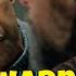 Denzel Washington Get S In A Heated Exchange With A Photographer Who Put His Hands On Him