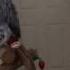 Alexa All Lights On Petra The African Grey Controls The Amazon Echo Turns Lights On