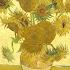 Vincent Van Gogh Sunflowers Letters Life The National Gallery London