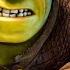 I Did Not Care For The Shrek 5 Teaser