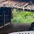 24 Hours SURVIVING ALONE IN A JUNGLE