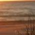 DJ Kent WeeKent SunSets 4