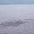 Bear Hunting Salmon In Kamchatka From A Drone In 4K
