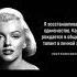 Мэрилин Монро Цитаты и афоризмы экстравагантной блондинки и секс символа Америки 1950 х Shorts