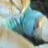 Play Him Off Keyboard Cat By Charlie Schmidt