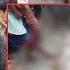 Assam News Armed Mob Kills Royal Bengal Tiger In Assam Skin Teeth Removed