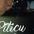 Mihaita Piticu Curva N Are Nici O Vina Official Video