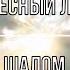 Небесный луч Шалом